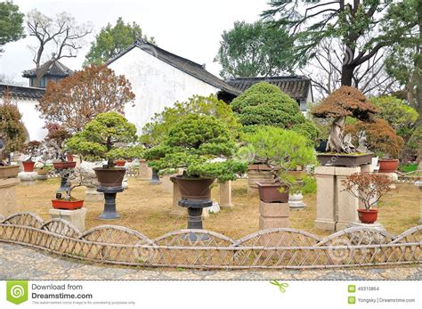 Bonsai Garden In Humble Administrator S Garden Stock Photo Image Of