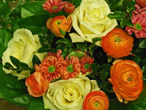 Free picture: petal, bouquet, rose, arrangement, leaf, flower