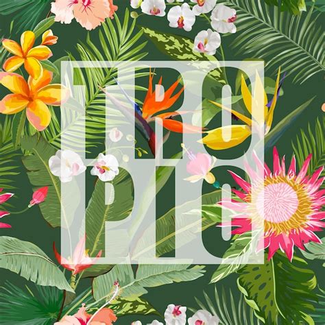 Graphique D été Floral Tropical Pour Les Fonds D écran Les Arrière