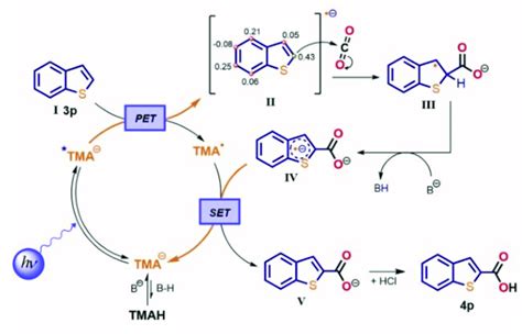 Proposed Mechanism For The C H Carboxylation Of Hetero Arenes With