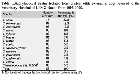 Scielo Brasil Identification And Antimicrobial Susceptibility