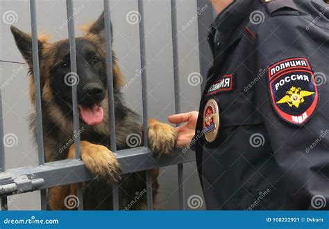 Police dogs in Russia. stock illustration. Illustration of scissors ...