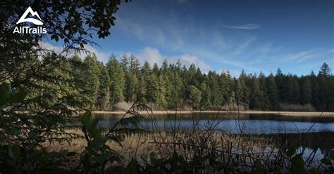 Best Trails In Illahee State Park Washington 26 Photos And 55 Reviews