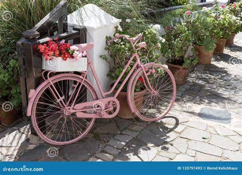 Pink Bicycle with Flowers on the Walkway Stock Image - Image of park ...