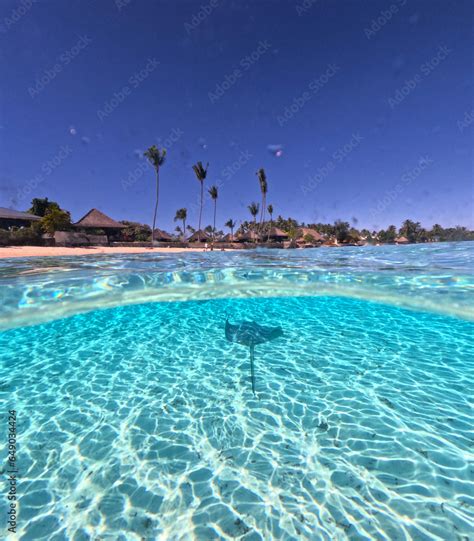 Over Unders Overwater Underwater Split Shot Pacific Ocean And