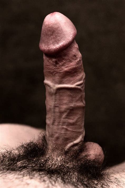 Hard Veiny Cock Tubbys1st