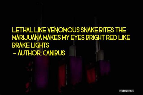 Top 10 Venomous Snake Quotes And Sayings