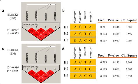 Linkage Disequilibrium Ld Structure Across Rs Rs