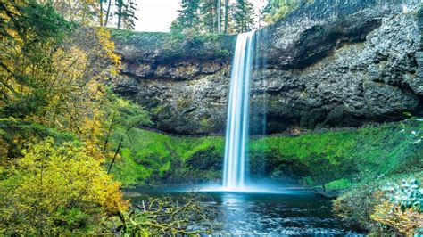 Silver Falls State Park Backiee