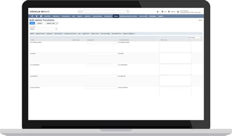Netsuite Oneworld Global Business Management System