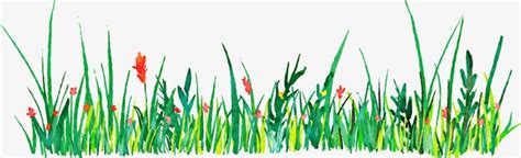 Grass Drawing at GetDrawings | Free download