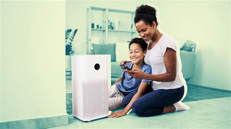 6 Best Air Purifiers for Mold in 2022, According to Experts and Reviews