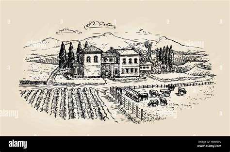 farm sketch farming agriculture vineyard  animal husbandry vector