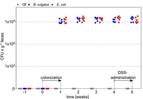 Bacterial Immunogenicity Is Critical For The Induction Of Regulatory B