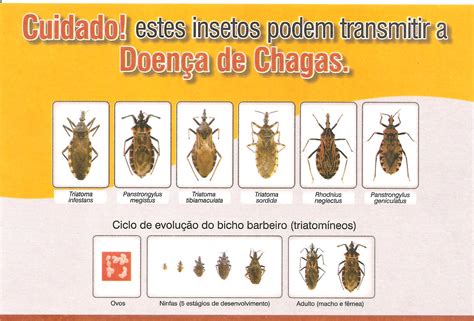 Doenca Do Barbeiro - SAÚDE NOVA SANTA ROSA: Doença de Chagas