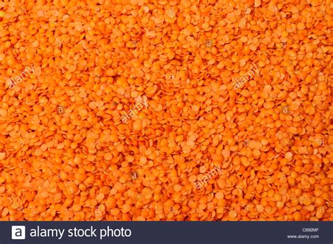 Red Lentils Pattern Hi Res Stock Photography And Images Alamy