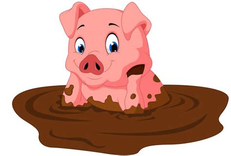 Pig In Mud Illustrations Royalty Free Vector Graphics And Clip Art Istock