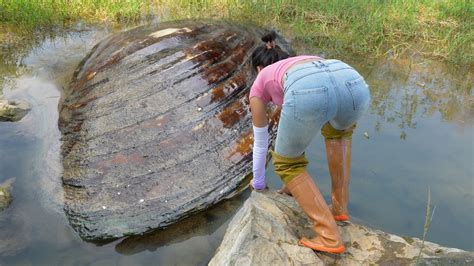 A Sexy Girl Found A Giant Clam In The Water And When Opened It