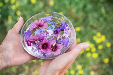 What Is Flower Essence Therapy The Flower Apothecary