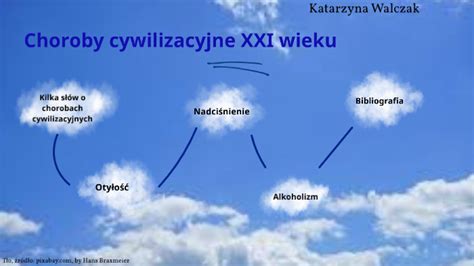 Choroby Cywilizacyjne Xxi Wieku By Kasia Walczak On Prezi