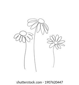 Set Chamomile Flowers Doodle Style Sketch Stock Vector Royalty Free