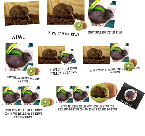 Kiwis S Gueme Porfa Meme Subido Por Putyyyyyyy Memedroid