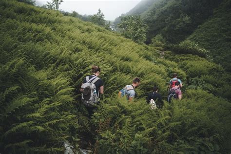 Hautes Tatras Randonnée d observation des ours en Slovaquie