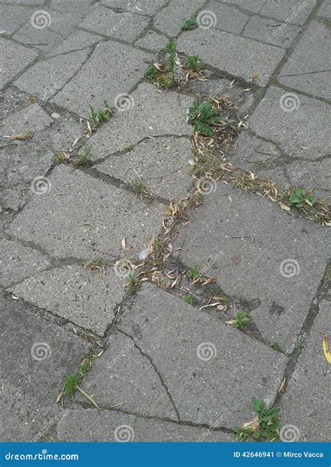 Sidewalk damage stock image. Image of sidewalk, stone - 42646941