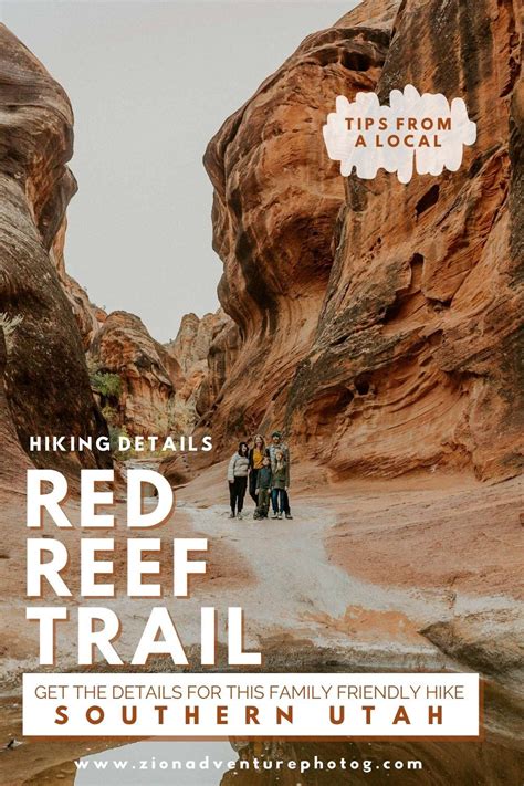 Hiking The Red Reef Trail Southern Utah Artofit