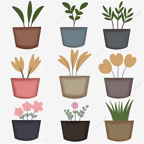 Indoor Plants Clipart Transparent Background Indoor Plant Nature