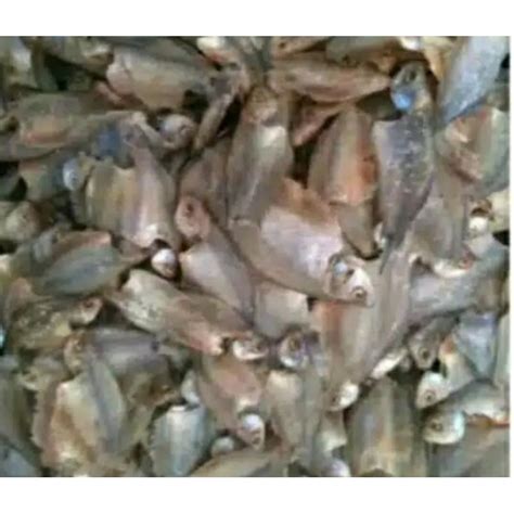 Jual Ikan Asin Sepat Kecil 500gr Termurah Shopee Indonesia