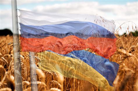 Ukraine And Russia Grain Deal Extended Term Unclear All About Feed