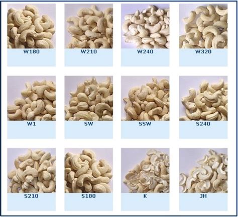 Panruti Cashews Cashew Grades