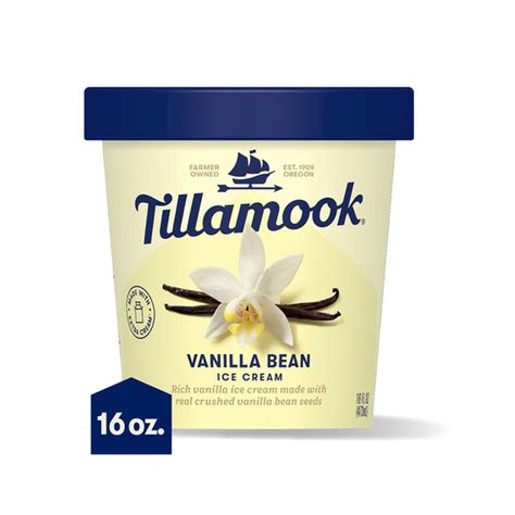 Tillamook Vanilla Bean Ice Cream Pint 16 Fl Oz Delivery Or Pickup