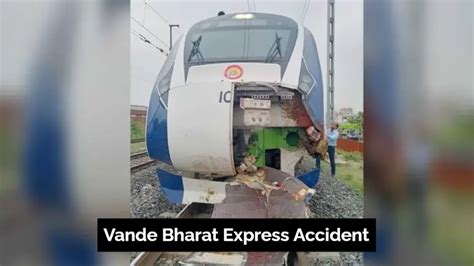 Vande Bharat Express Accident Once Again Hit The Bull Live News Dekho