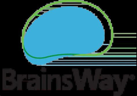 Brainsway Logo Wildfire Digital Marketing