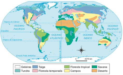 Biomas Terrestres Tundra Taiga Florestas Campos Cola Da Web