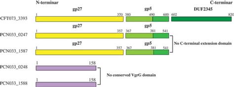 Full Article Characterization Of Multiple Type VI Secretion System