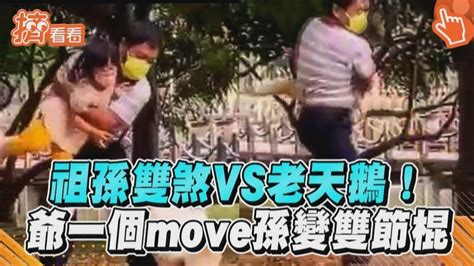 影音／祖孫雙煞vs老天鵝！ 爺一個move孫變雙節棍│爺孫│奇美博物館│tvbs新聞網