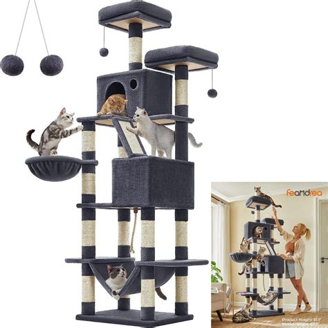 Best 5 Maine Coon Cat Trees For Your Kittens