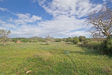 Finca Grundst Ck Mit Bauprojekt Und Meerblick Zu Verkaufen Bei Santanyi