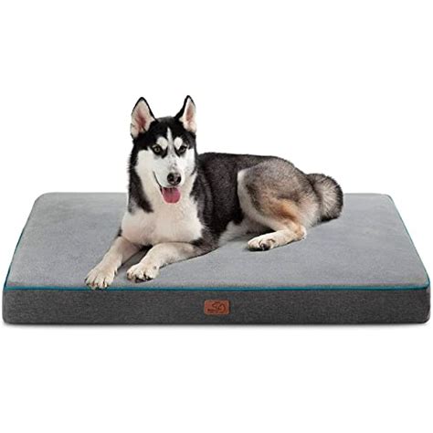 The Best Orthopedic Dog Bed Models of 2020