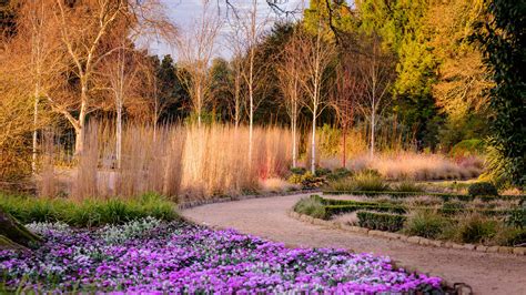 Wintergarden Beautiful Flower