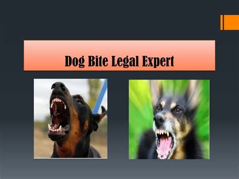 PPT - Dog bite legal expert PowerPoint Presentation, free download - ID ...