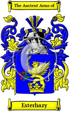 Esterhazy Name Meaning, Family History, Family Crest & Coats of Arms