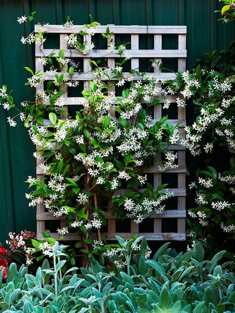 15 Creative And Easy Diy Trellis Ideas For Your Garden