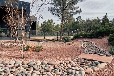 rain garden: Stories, Guides, Videos & More - Sunset Magazine