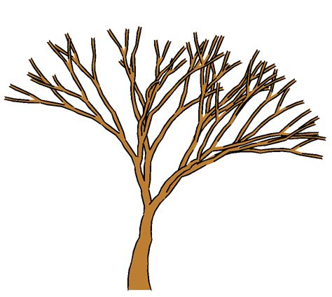 Cartoon Tree Outline Bare ClipArt Best