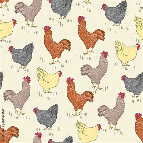 Seamless pattern with bird - rooster and chicken and grass on light yellow background vector ...