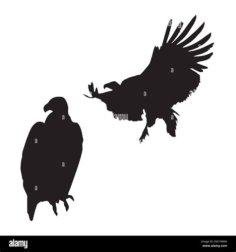 Vector Illustration of Vulture Silhouette Stock Vector Image & Art - Alamy